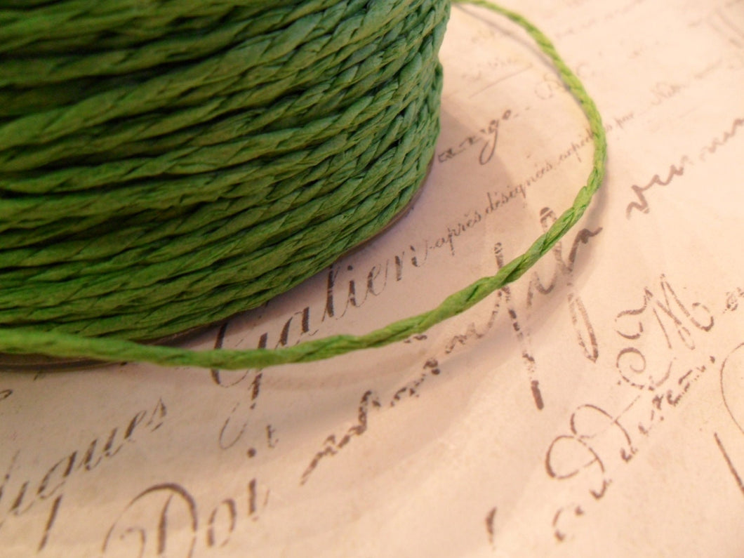 Spring Green Paper Twine